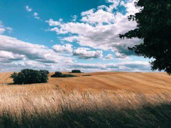 Apple обьявила победителей конкурса Shot on iPhone